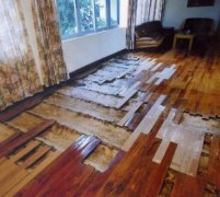 金鼎殺蟲別墅地板案例